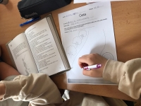 Ročníkový projekt Malý princ