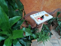 Motýlí dům - výlet 1. A a 9. A