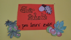Sběr kaštanů a žaludů pro lesní zvěř