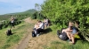 Výprava za ještěrkami