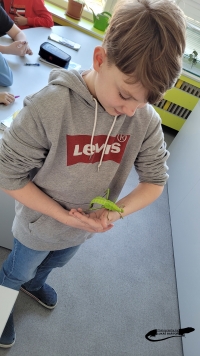 Žáci se seznámili se strašilkami