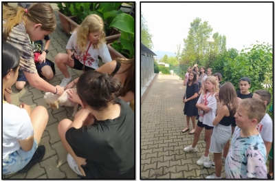 6.B navštívila útulek v Děčíně