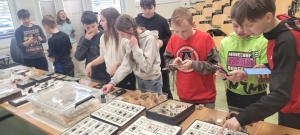 PřF UJEP - Entomologický program