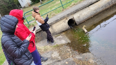 Migrace žab na Maxičkách