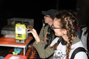 Netopýří noc v PP Naděje